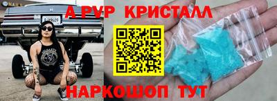 ешки Кингисепп