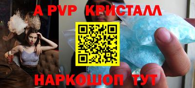 ешки Кингисепп