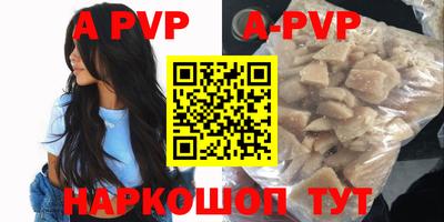 ешки Кингисепп