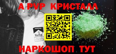 ешки Кингисепп