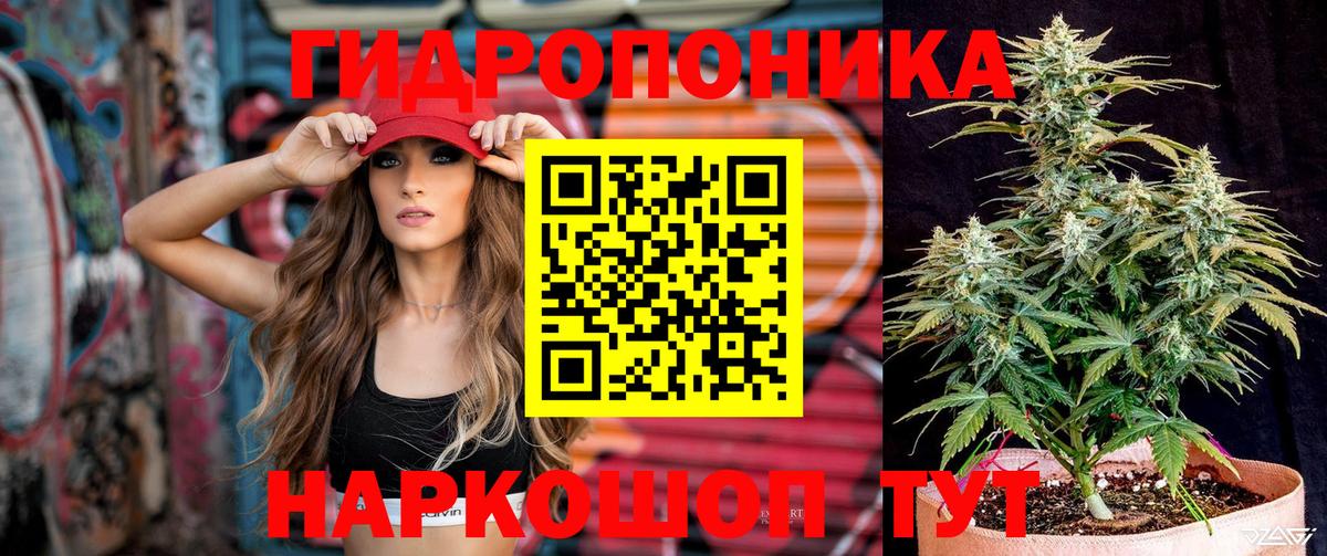 Марихуана тримм  Вход с VPN  Калининград  Каннабис сатива  Марихуана Amnesia 